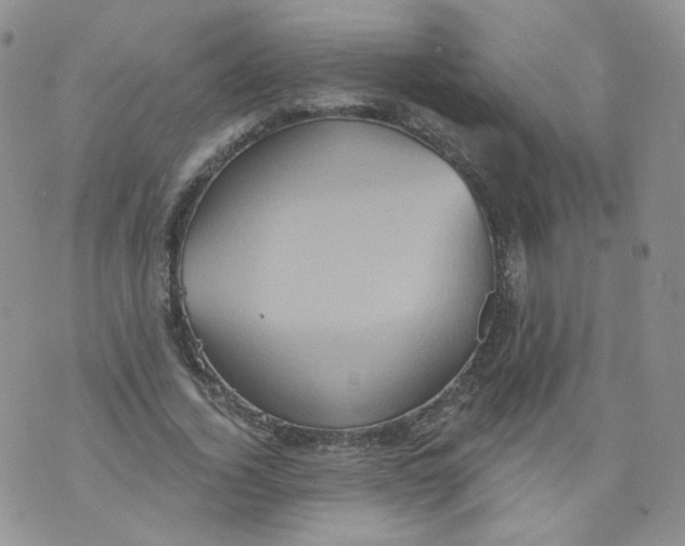 X0000070860732200607071857