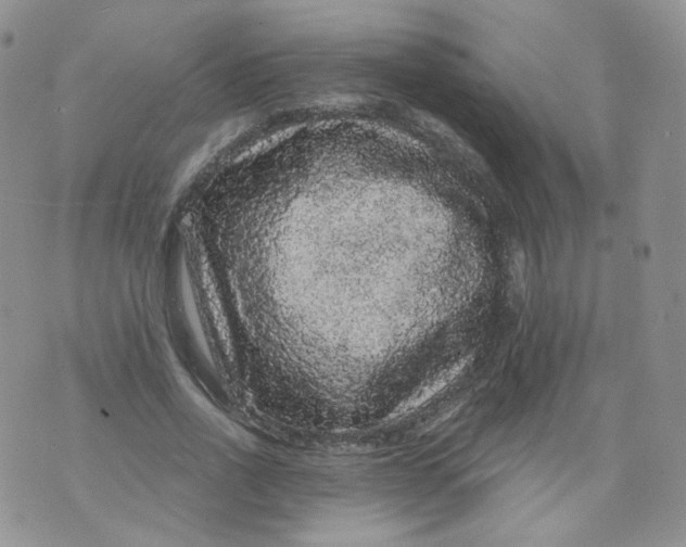 X0000070860734200607071857