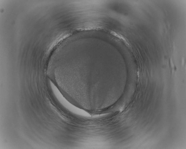 X0000070860735200607071857