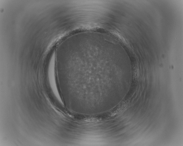 X0000070860736200607071857