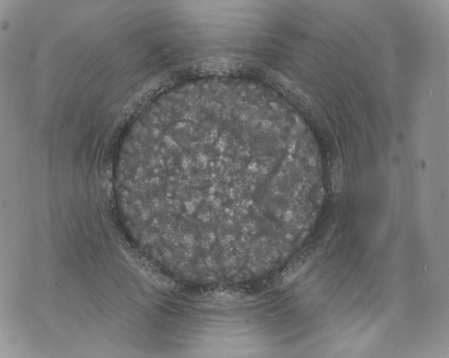 X0000070860737200607071857