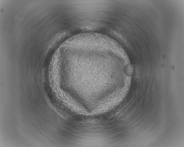 X0000070860738200607071857