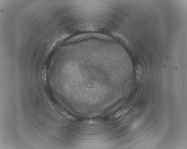 X0000070860739200607071857