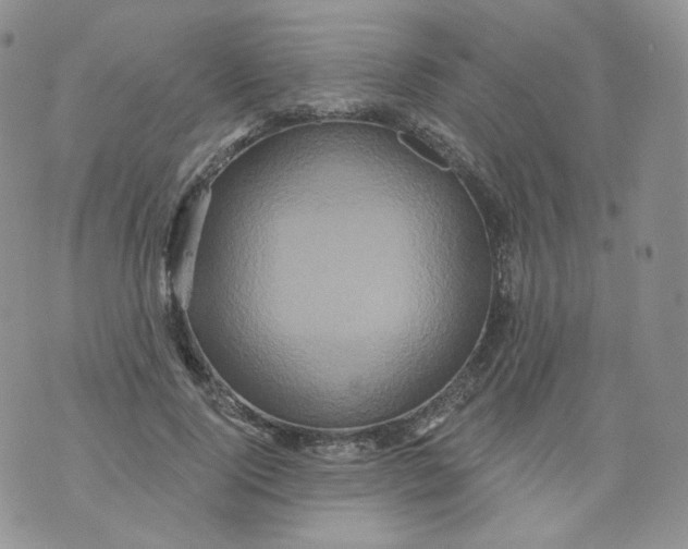 X0000070860740200607071857