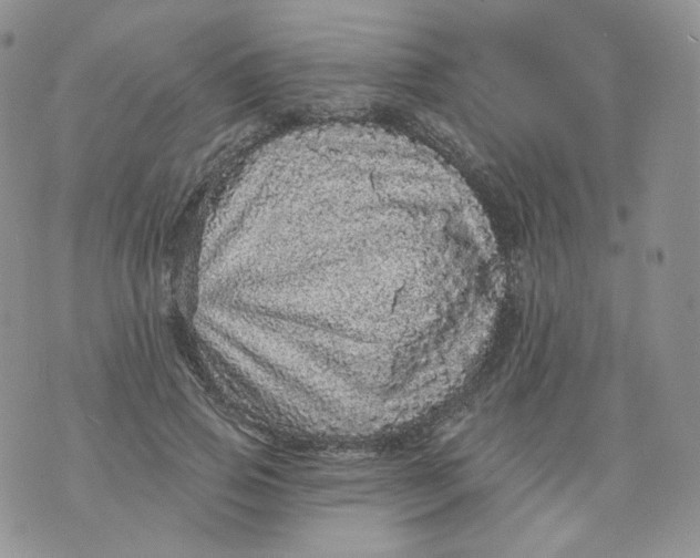 X0000070860741200607071857