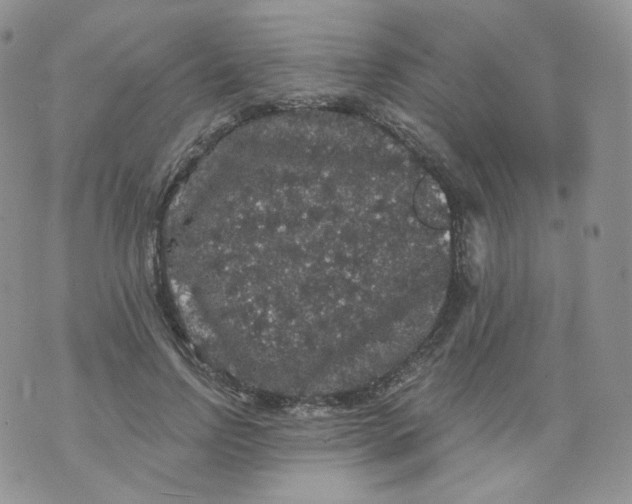 X0000070860742200607071857