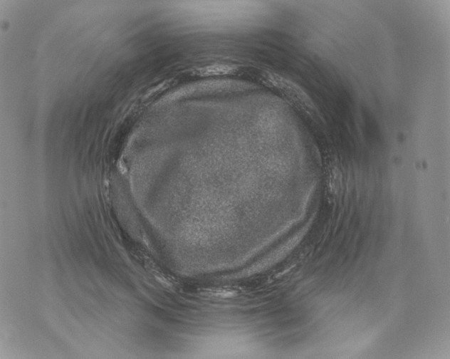 X0000070860743200607071857