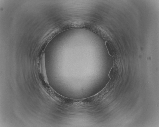 X0000070860744200607071857