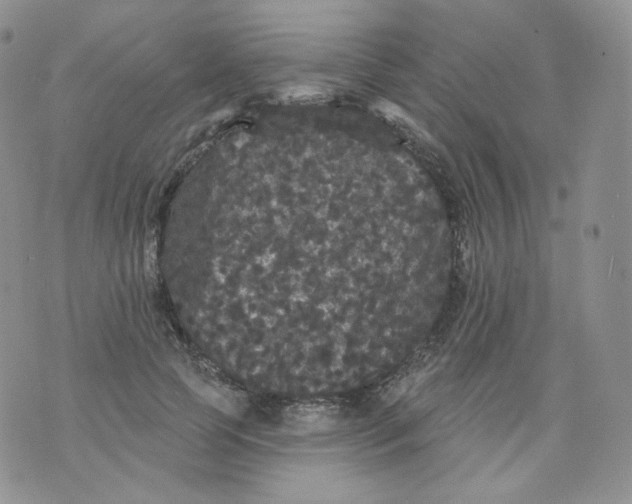 X0000070860745200607071857