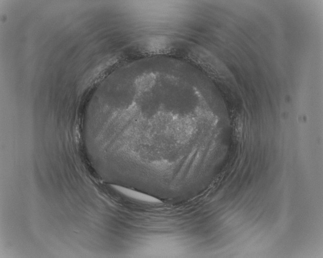 X0000070860746200607071857