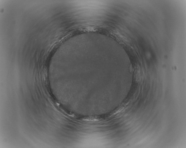 X0000070860747200607071857