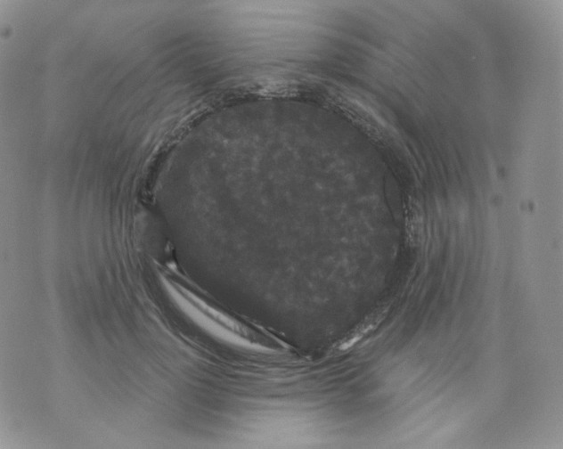 X0000070860748200607071857