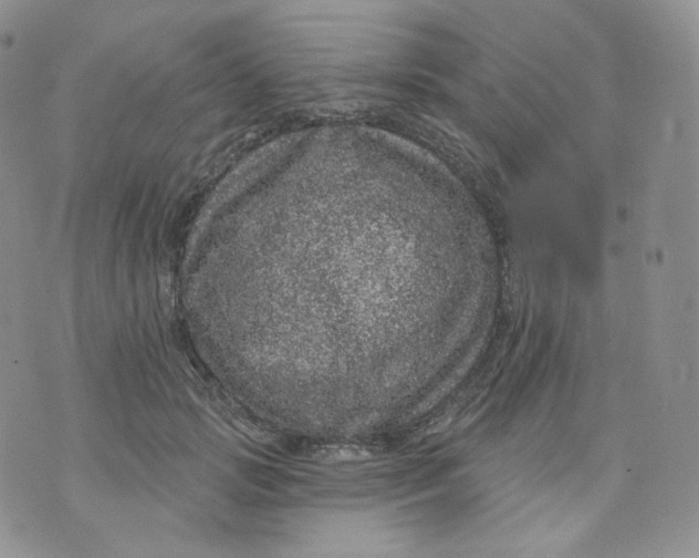 X0000070860749200607071857