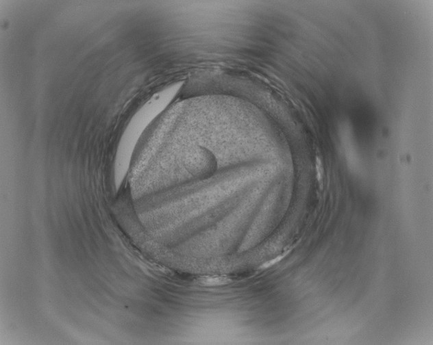 X0000070860750200607071857