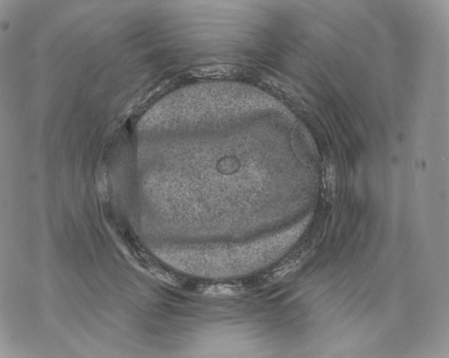 X0000070860751200607071857