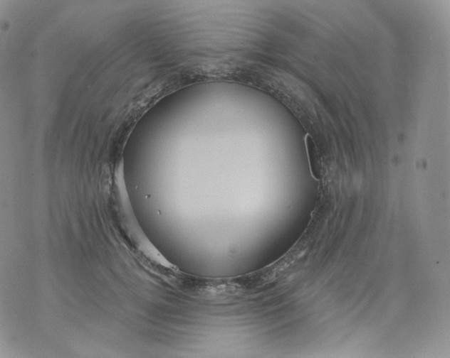 X0000070860752200607071857