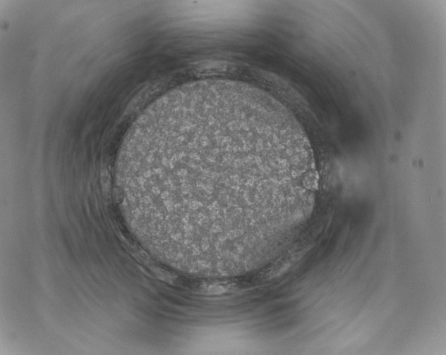 X0000070860753200607071857