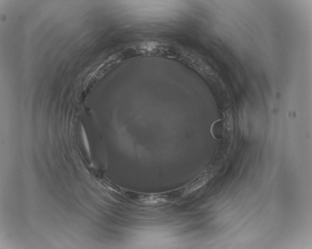 X0000070860754200607071857