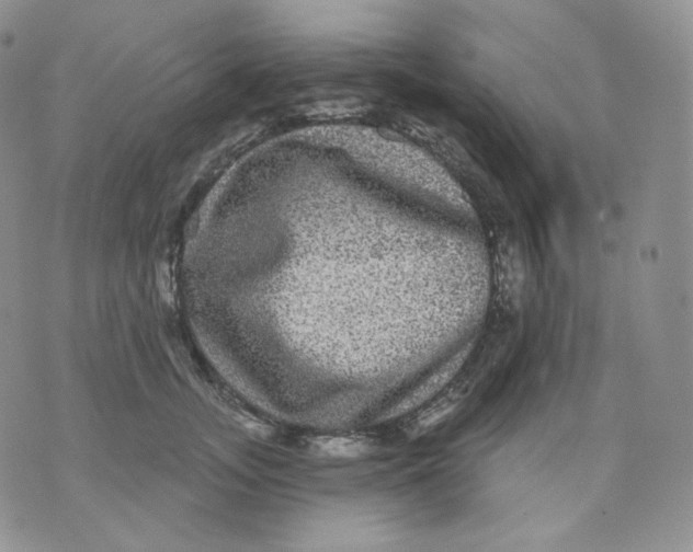 X0000070860755200607071857