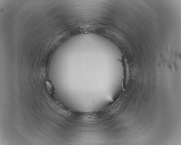 X0000070860756200607071857