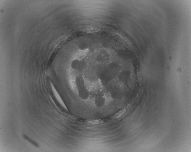 X0000070860757200607071857