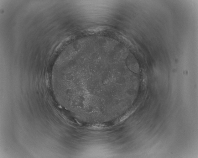 X0000070860758200607071857