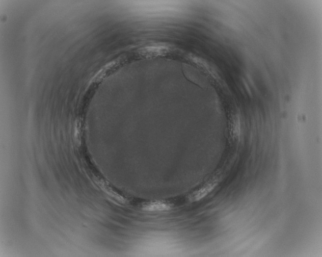 X0000070860759200607071857