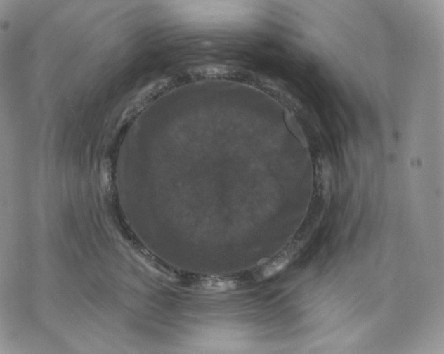 X0000070860760200607071857