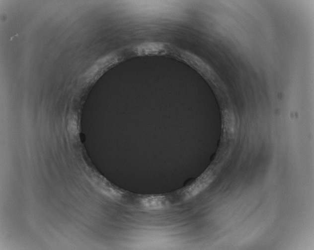 X0000070860761200607071857