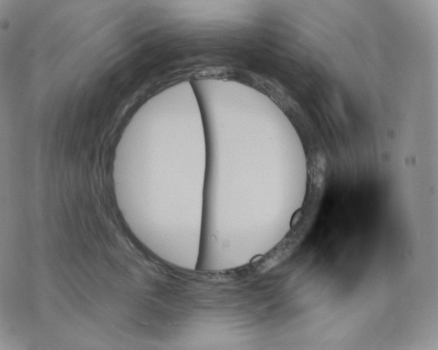 X0000070860763200607071857