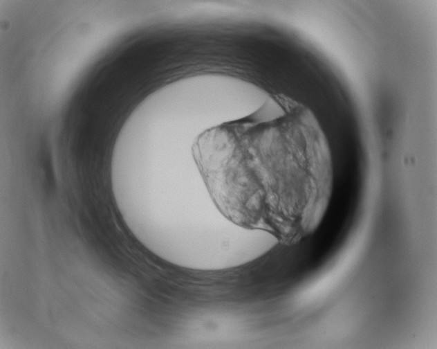 X0000070860765200607071857