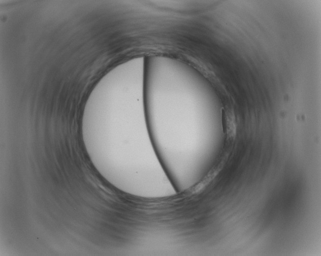 X0000070860766200607071857