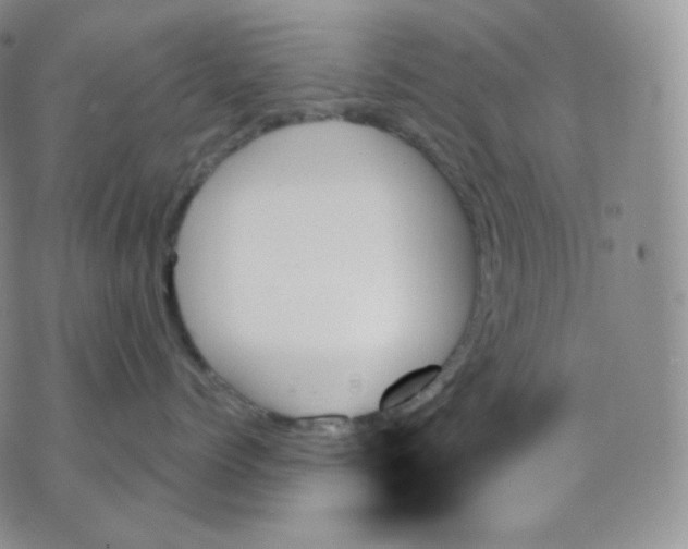 X0000070860768200607071857