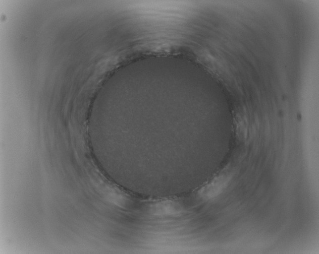 X0000070860769200607071857