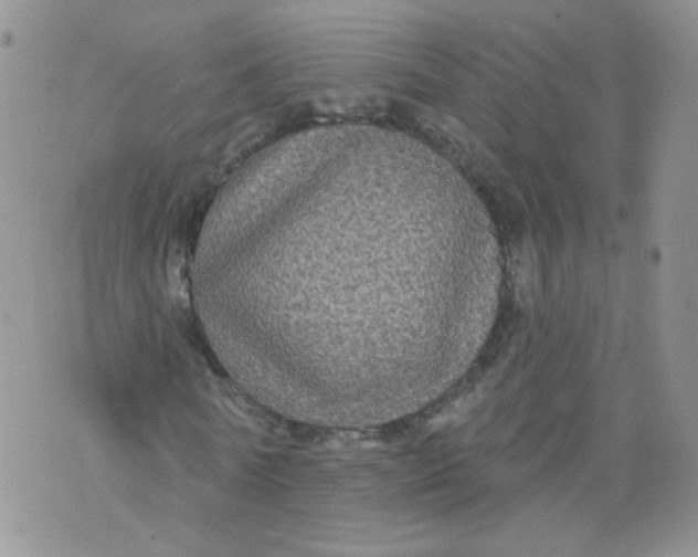 X0000070860770200607071857