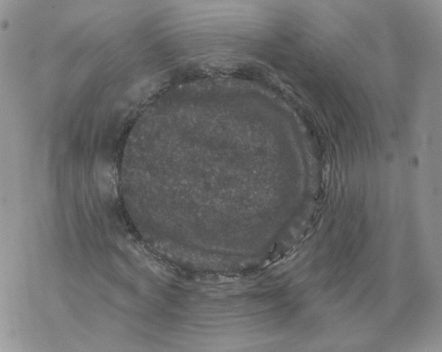 X0000070860772200607071857