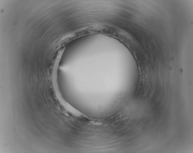 X0000070860773200607071857