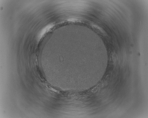 X0000070860776200607071856