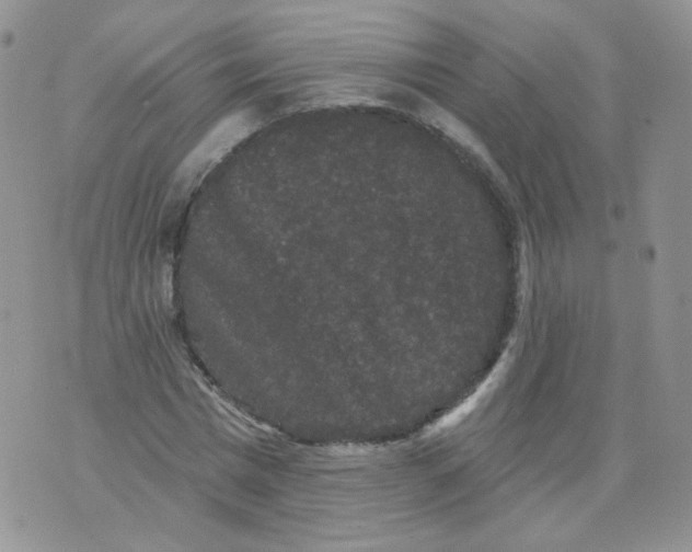 X0000070860777200607071856