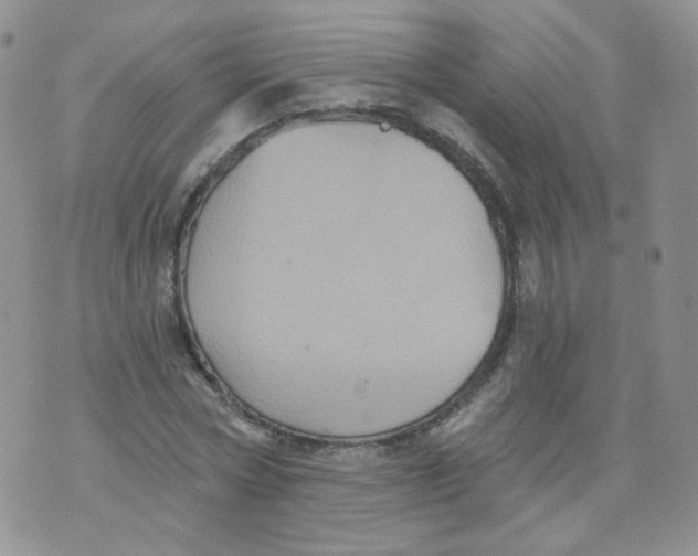 X0000070860778200607071856