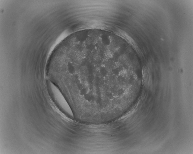 X0000070860780200607071856