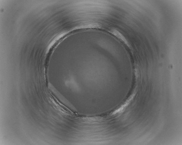 X0000070860781200607071856