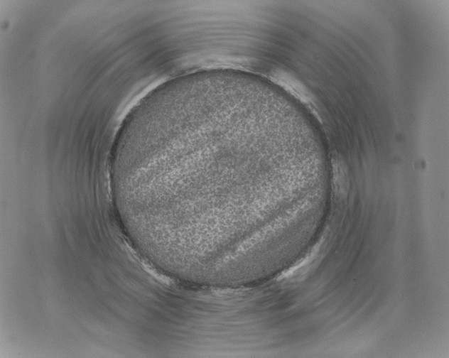 X0000070860782200607071856