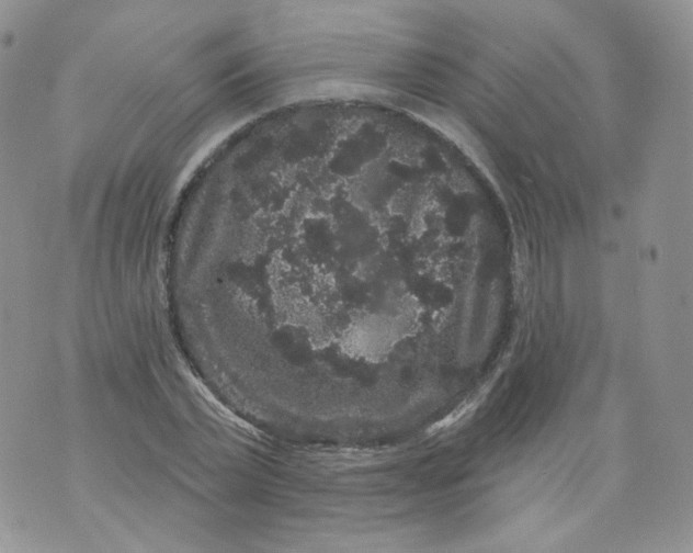 X0000070860783200607071856