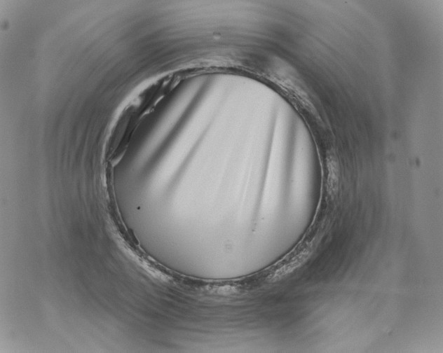 X0000070860784200607071856