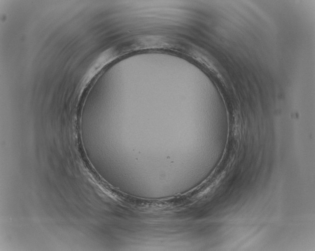 X0000070860786200607071856