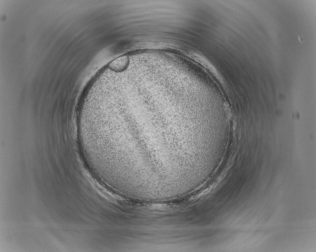 X0000070860787200607071856