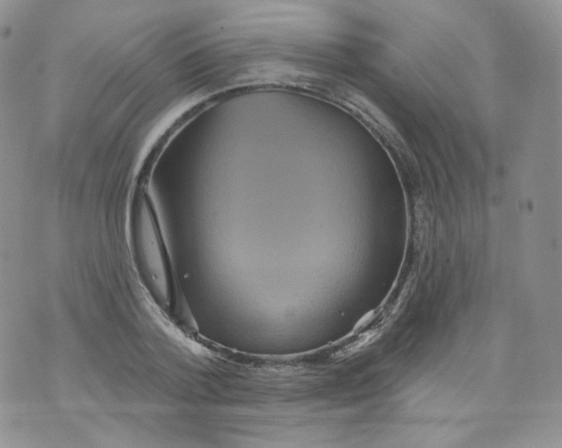 X0000070860788200607071856