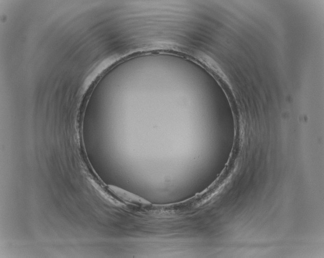 X0000070860789200607071856