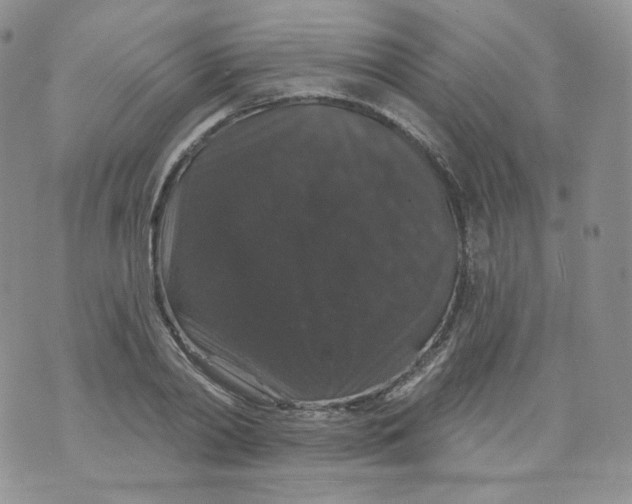 X0000070860790200607071856